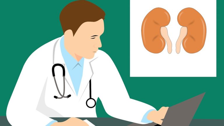 kidney health