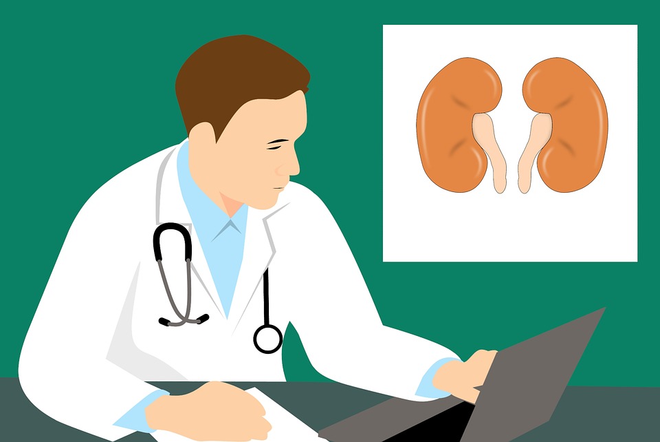 kidney health