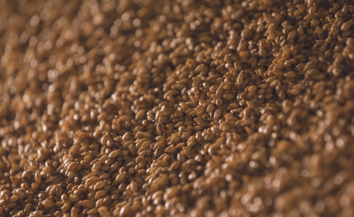 hemp seeds
