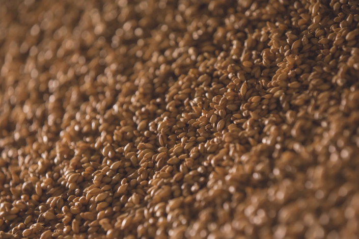 hemp seeds