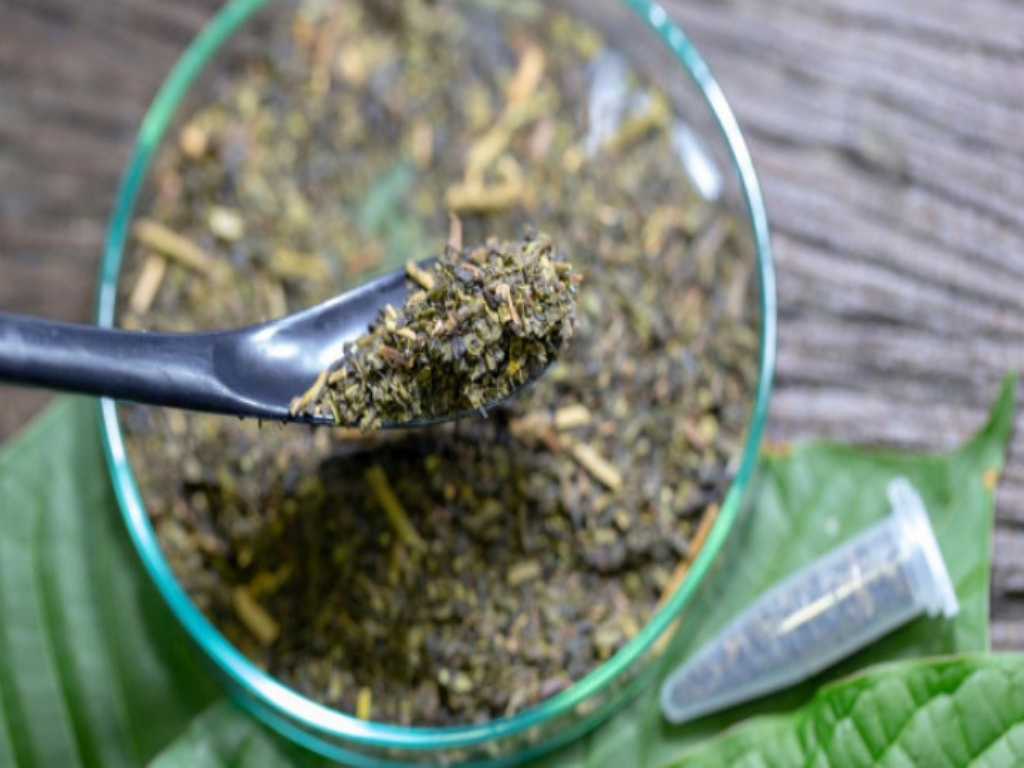 kratom dosing