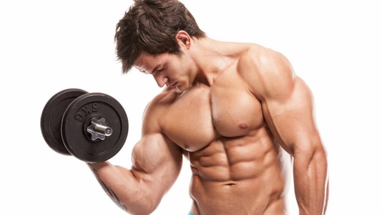 grow muscles
