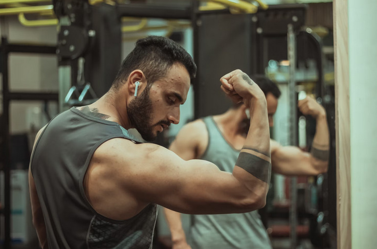 muscles