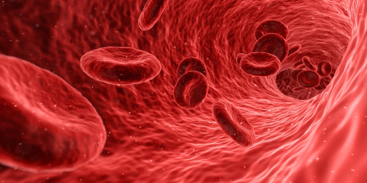 red blood 